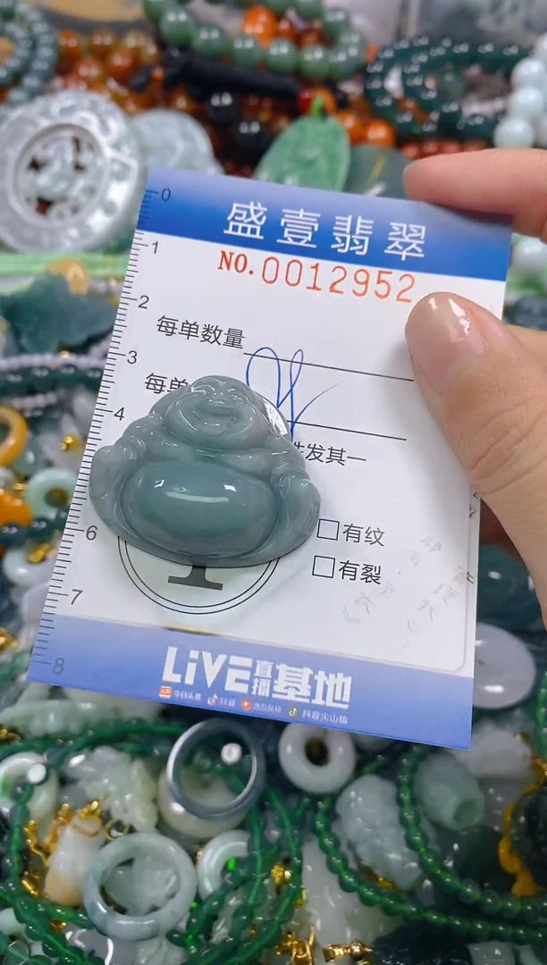 颈饰未镶嵌翡翠闪购0012952