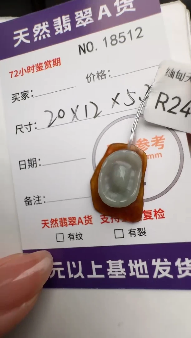 翡翠未镶嵌颈饰原石18511