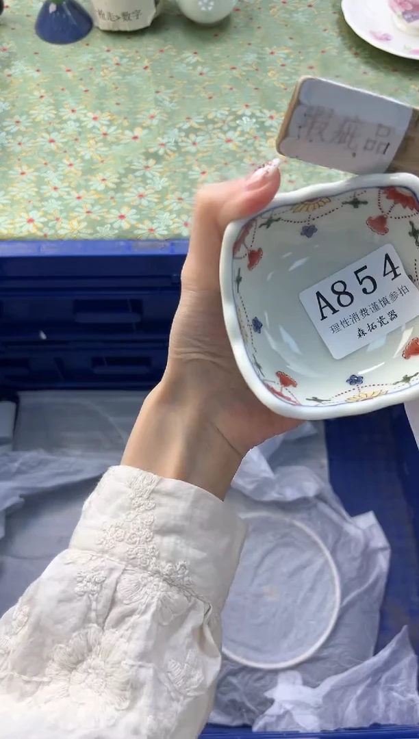 【闪购商品】瓷片          A854