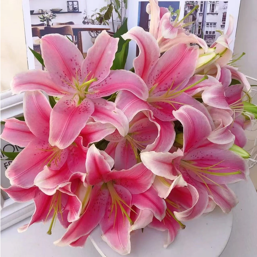 【香水百合】玫瑰鲜花云南昆明基地直发水养 插花花束 零度拍保温棉