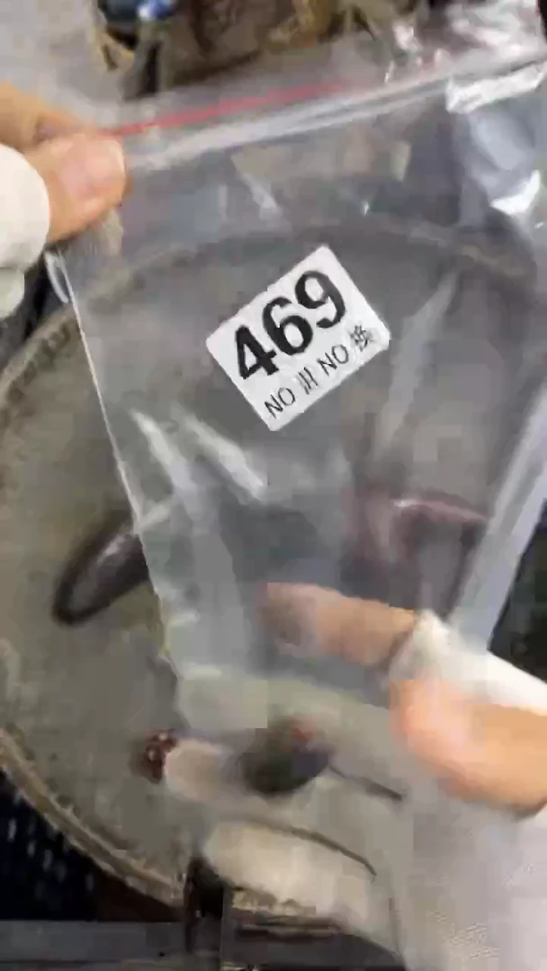 无纺布芳*辉家具摆件家具摆件