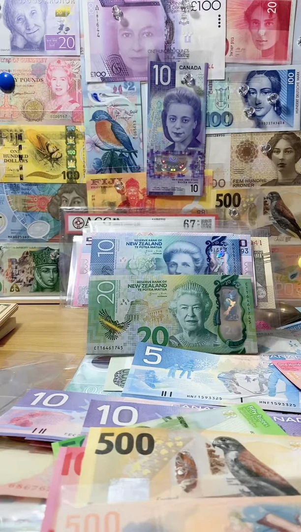 纯金、马尔代夫50拉菲亚