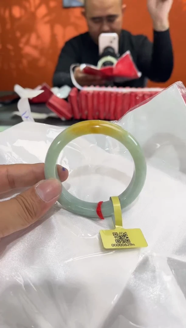 未镶嵌手镯翡翠5