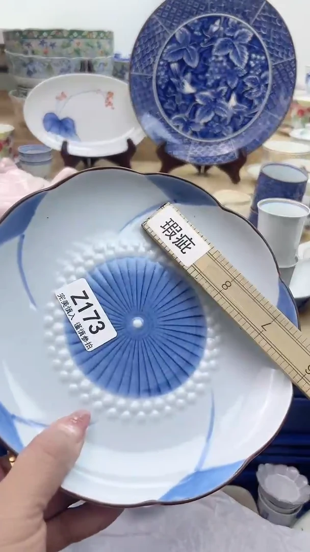 【闪购商品】瓷片173