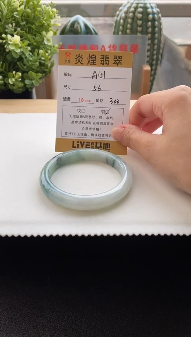 未镶嵌手镯翡翠56圈口编码 A151