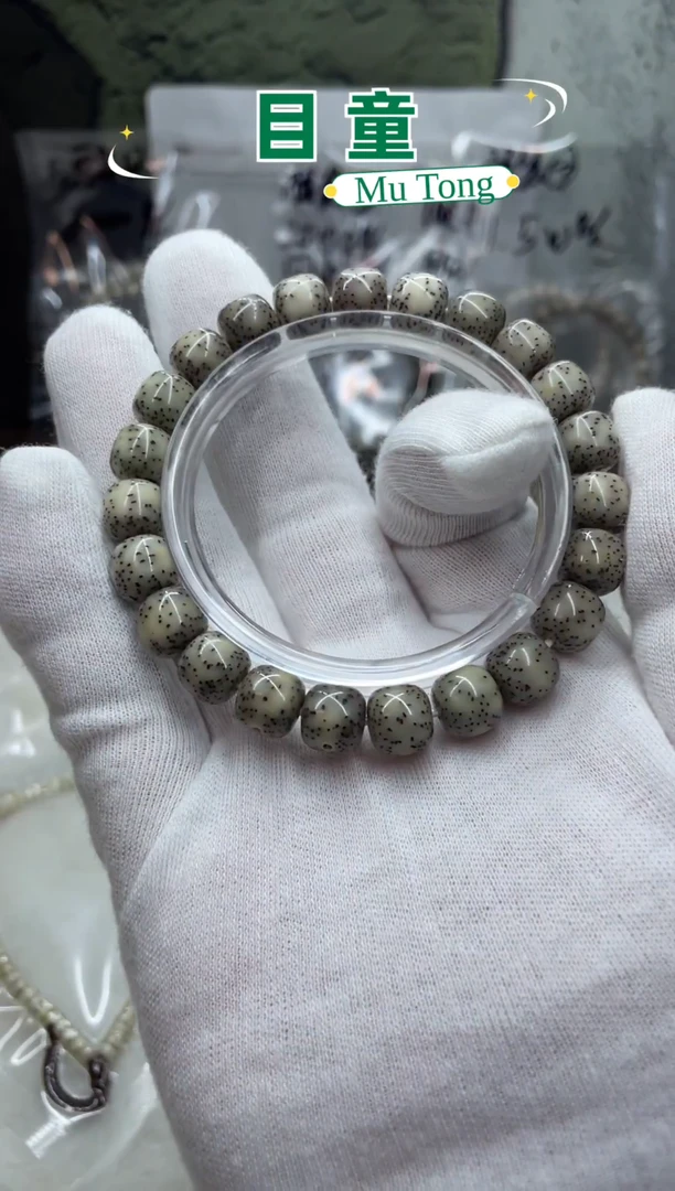 手串星月菩提海南星月菩提A1