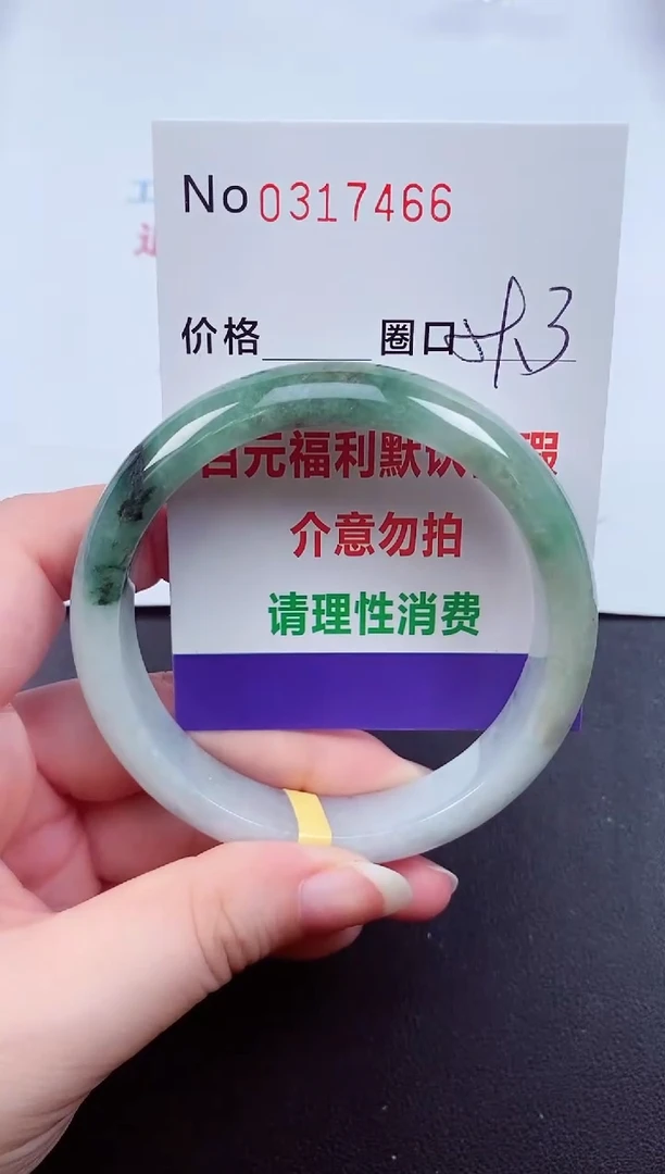 翡翠手镯未镶嵌 0317466