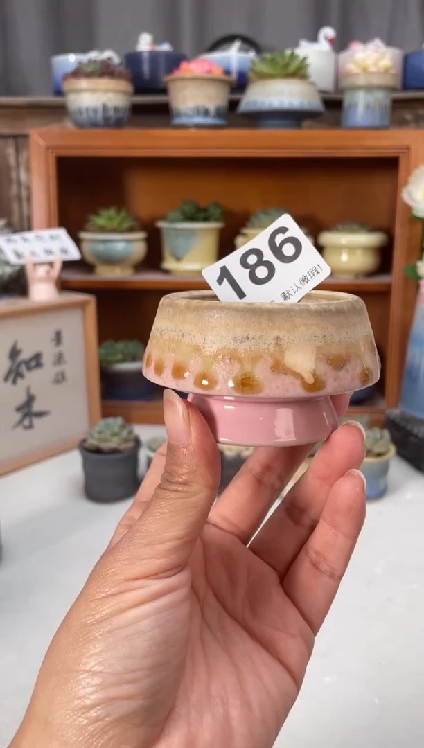 瓷片186知木小芳花盆