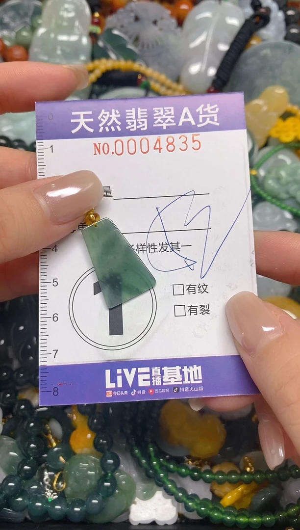 颈饰未镶嵌翡翠闪购0004835