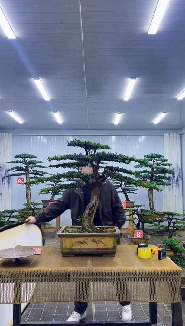 无花朵扩**际0000000000000000000