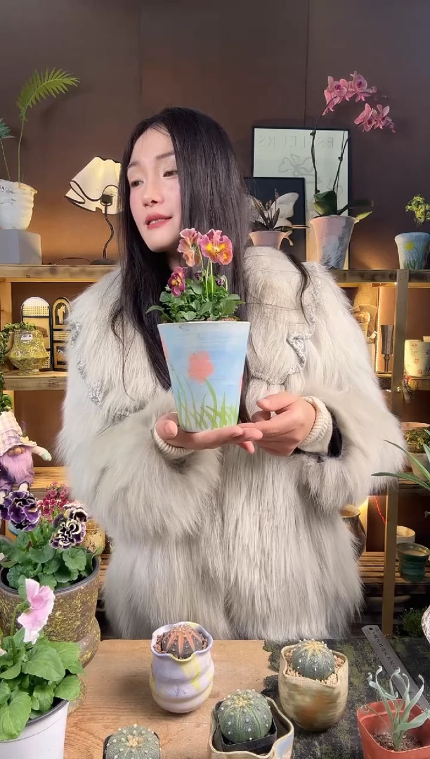 以实际为准127角瑾加盆一套