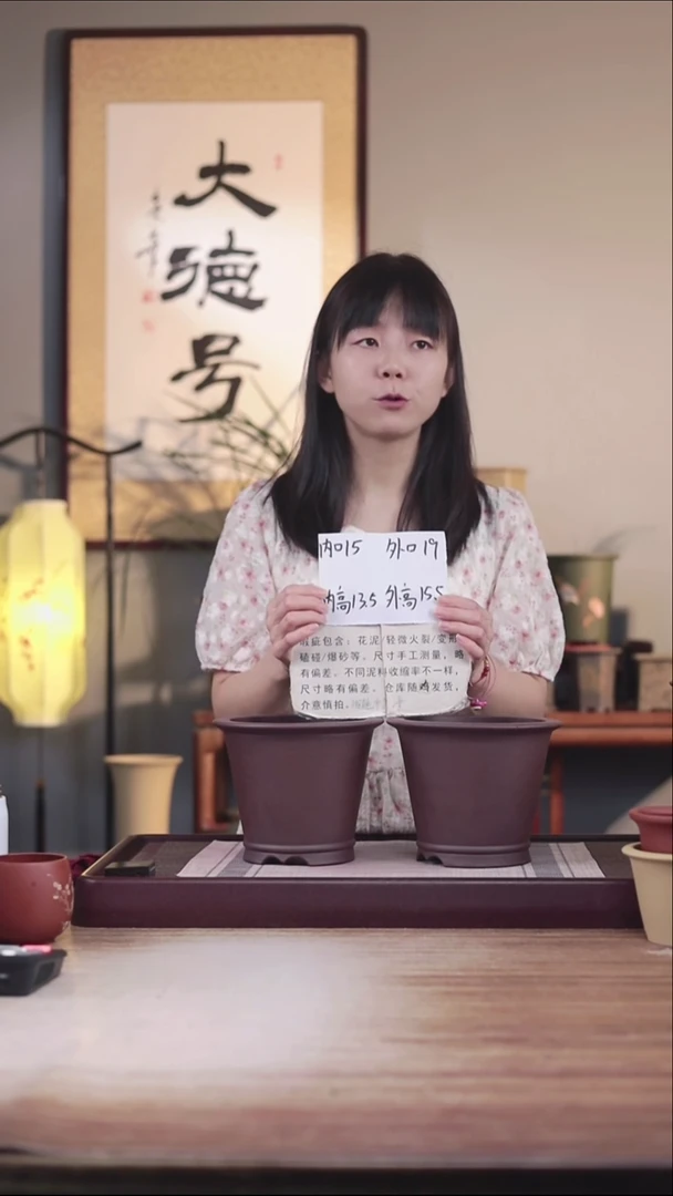 紫砂花盆瑕疵紫泥圆斗笠一对无托