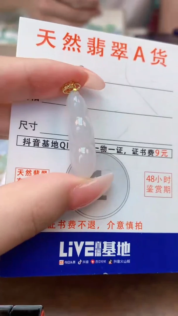 颈饰未镶嵌翡翠天然A货翡翠挂件