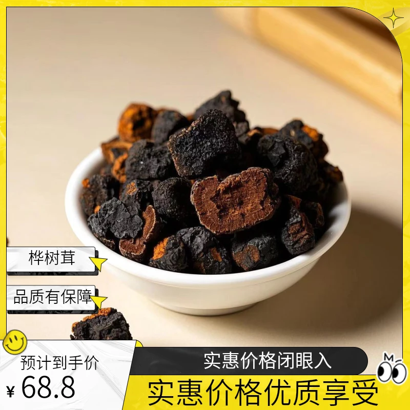 长白山自采白桦褐孔菌