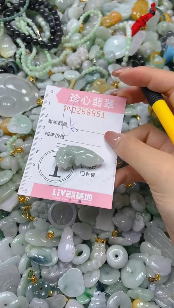 翡翠未镶嵌颈饰闪购0268951