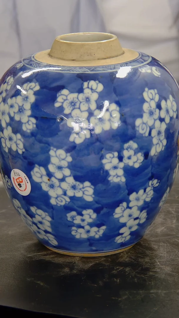 瓶青花冰梅纹罐#854#