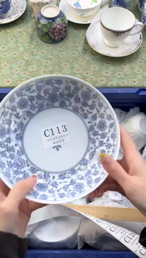 【闪购商品】瓷片          C113