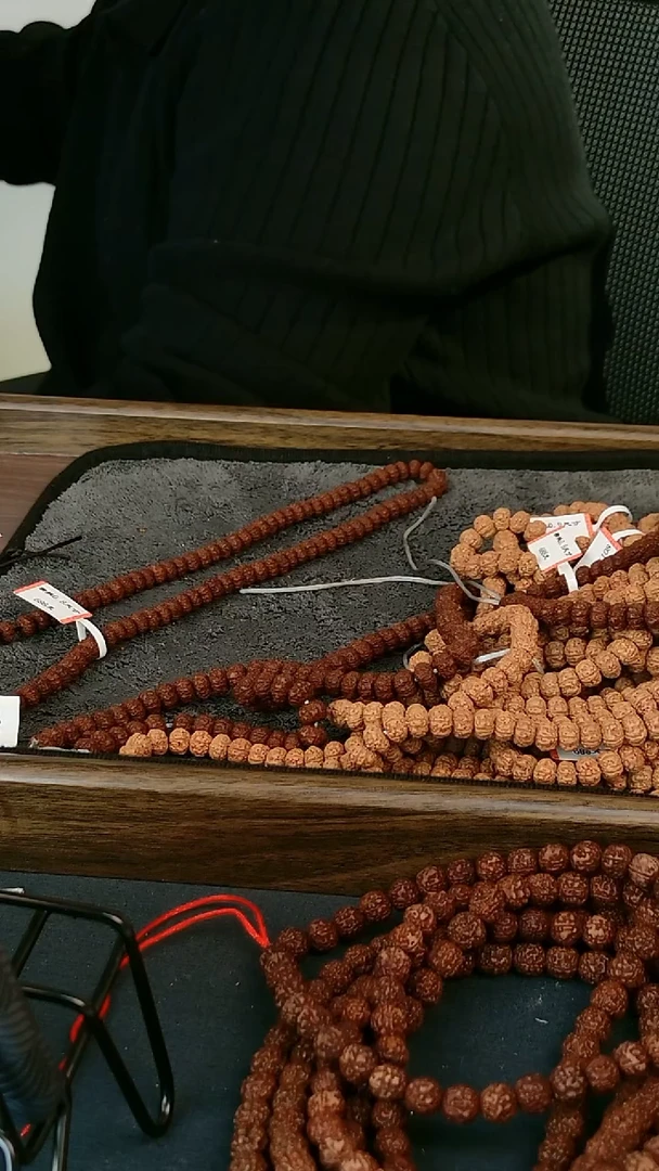 手串金刚菩提树王