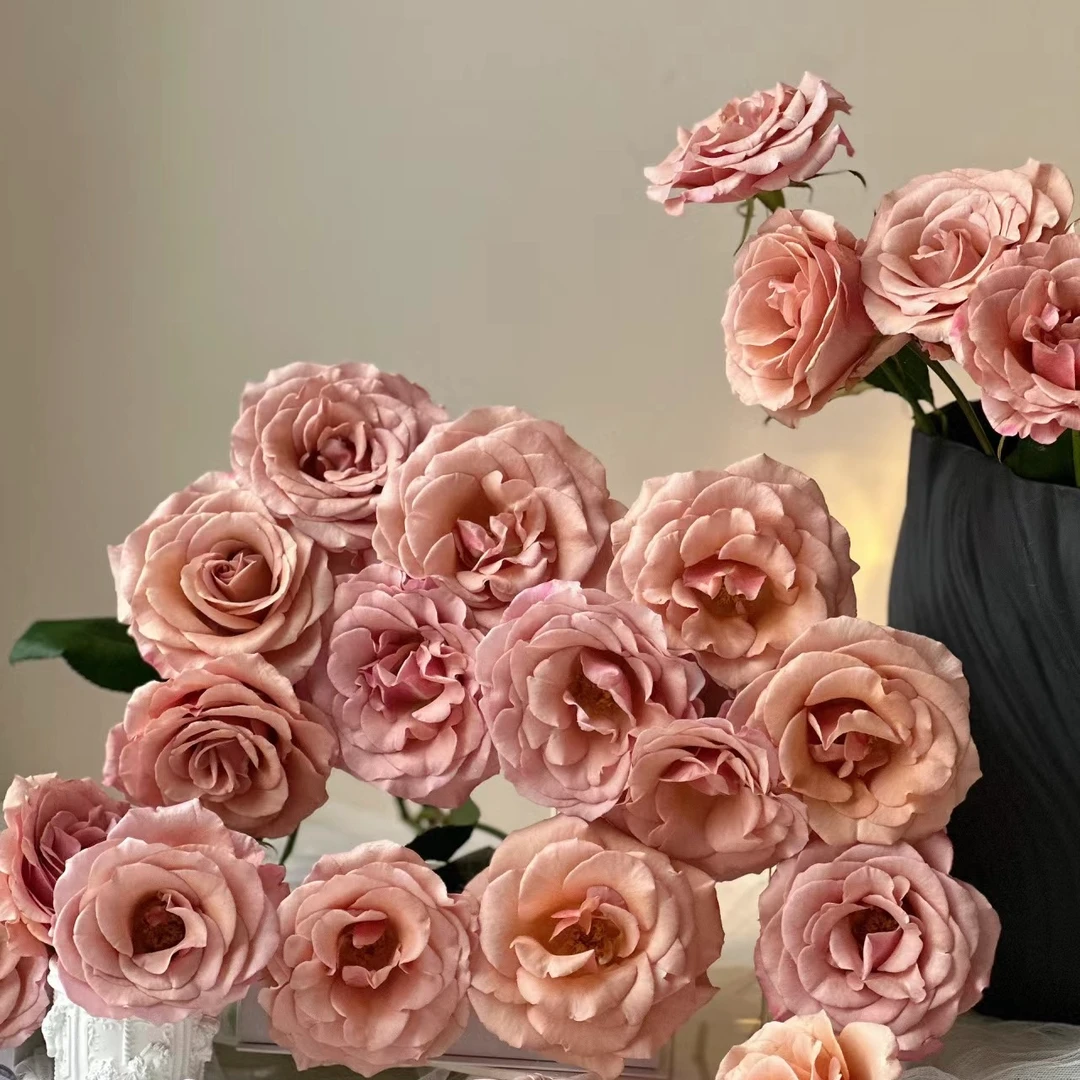 【莫泊玫瑰】任意两单及两单以上鲜花顺丰冷链包邮发货