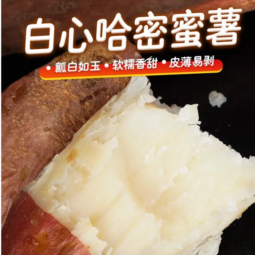 五斤装 精品果正宗山东哈密冰糖心白薯新鲜现挖瓤白如玉坏果包赔