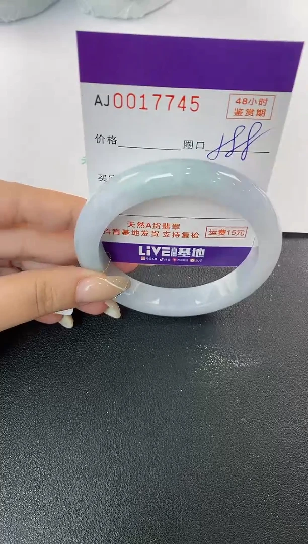 未镶嵌手镯翡翠天然A货翡翠