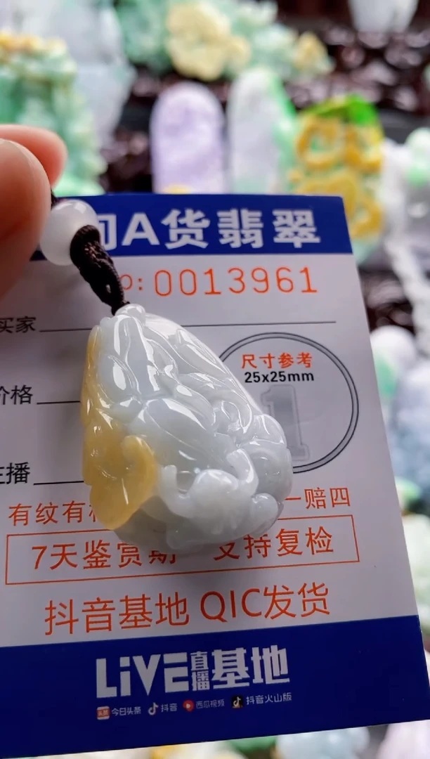 翡翠未镶嵌吊坠(不含链)1