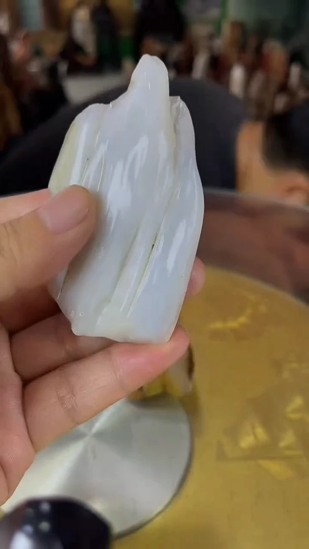 未镶嵌珠宝奇石硅化玉缅甸天然树化玉手把件