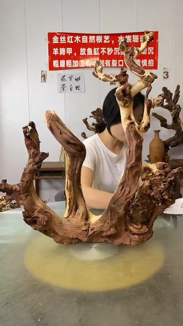 香榧木小*～金丝红木 羊蹄甲