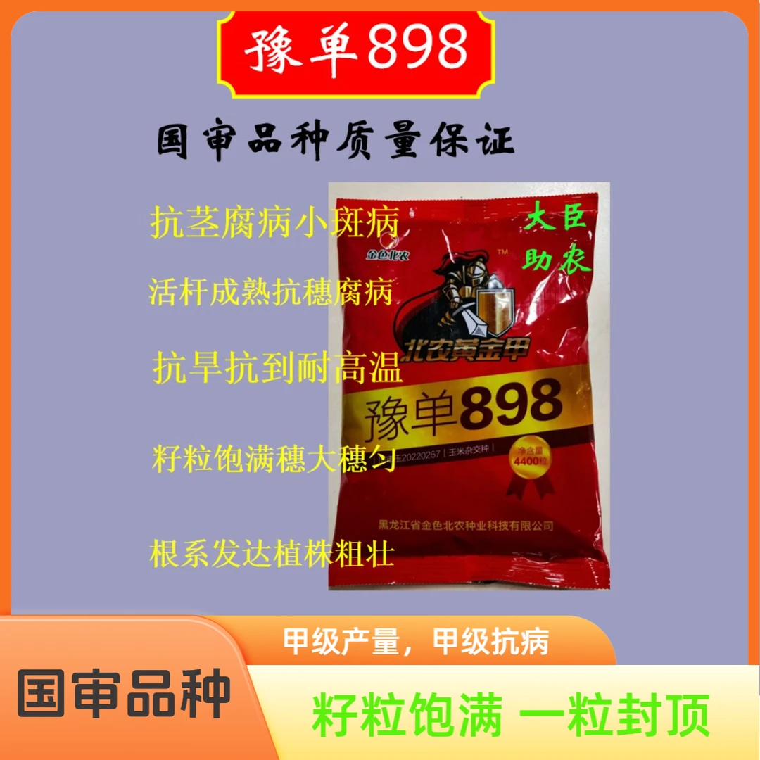 豫单898 耐旱抗倒 抗病稳产 国审玉米种子 甲级抗性 甲级产量