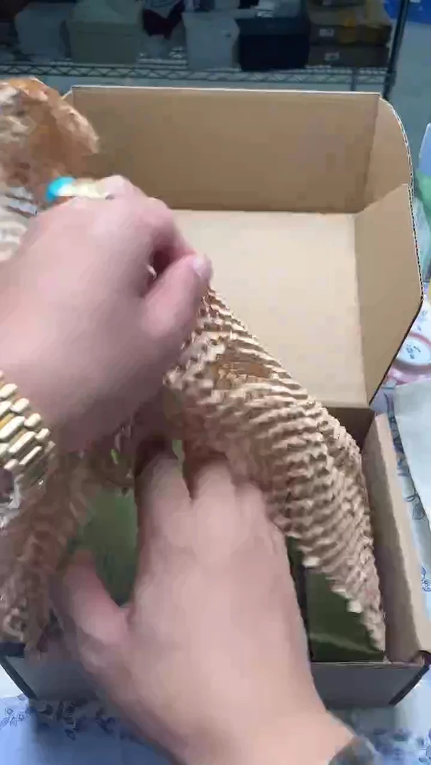 瓷片如图所示如图所示