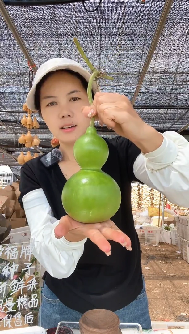 917天然葫芦摆件 一物一拍龙头不保售后微瑕疵