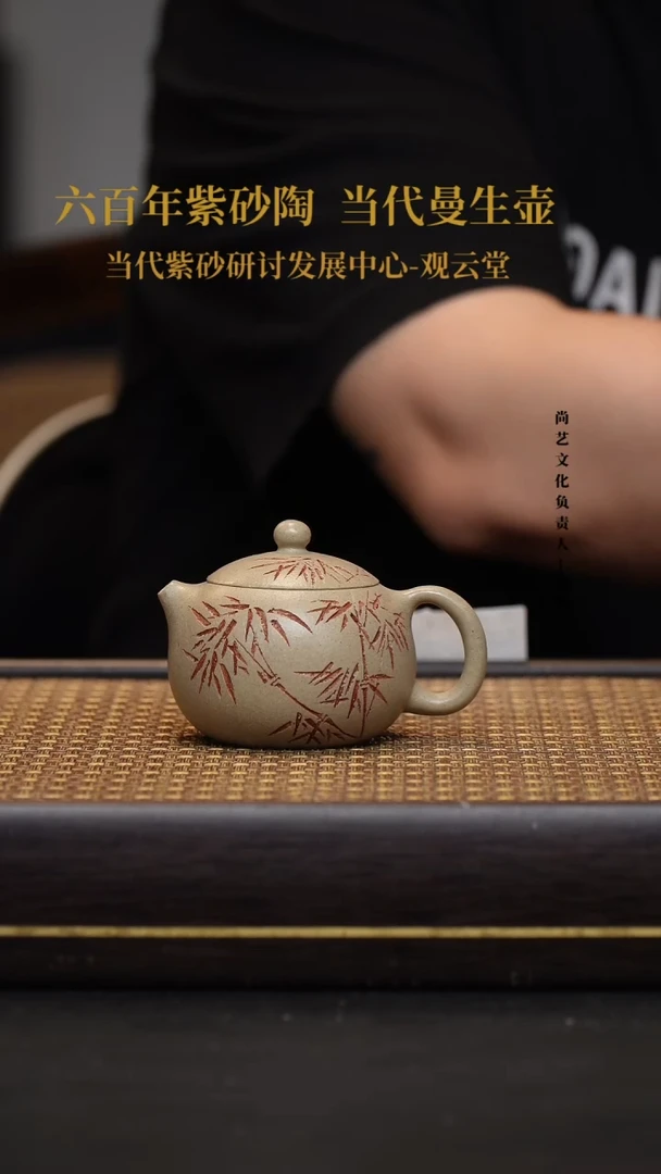 茶壶紫砂宜兴紫砂壶西施