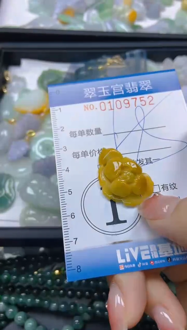 翡翠未镶嵌颈饰闪购0109752