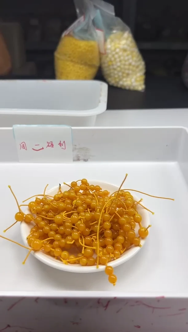 蜜蜡颈饰未镶嵌x220蜜蜡三通*1个