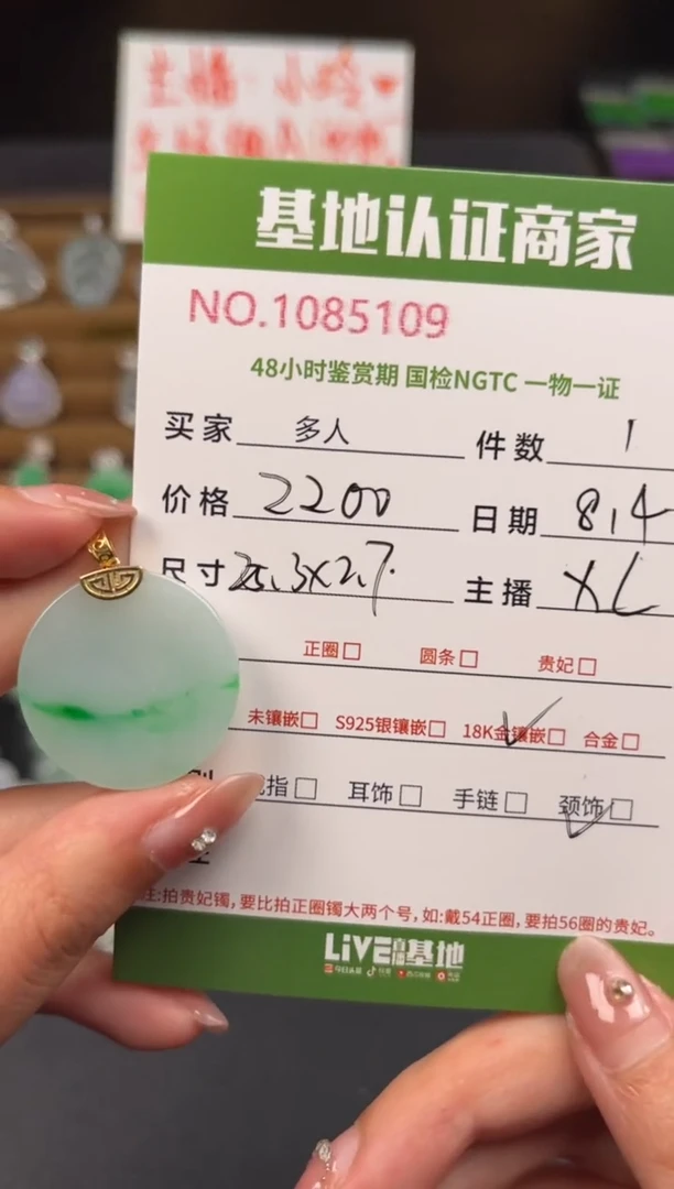 翡翠银S925镶嵌颈饰多人
