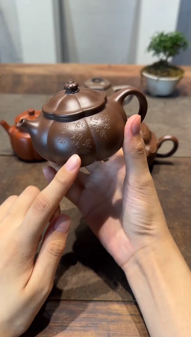 茶壶紫砂深****）大鱼海棠