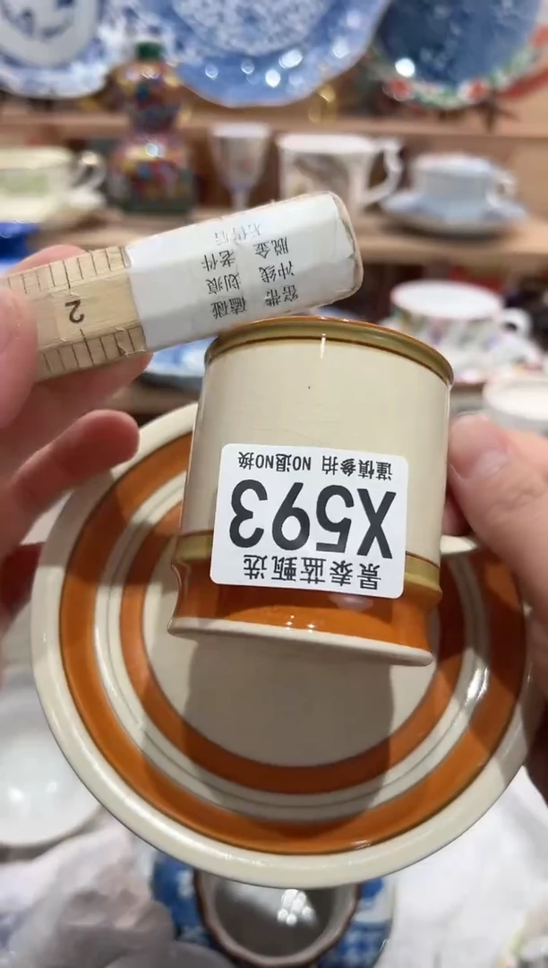 【闪购商品】瓷片当天凑满25米包邮X593