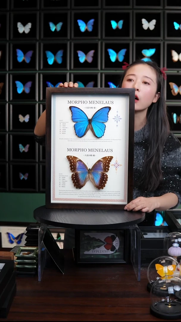 大蓝闪雌雄组合香樟木框