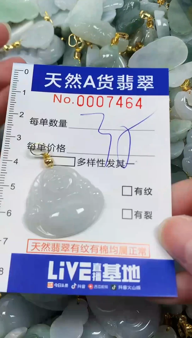 颈饰未镶嵌翡翠纯天然a货翡翠