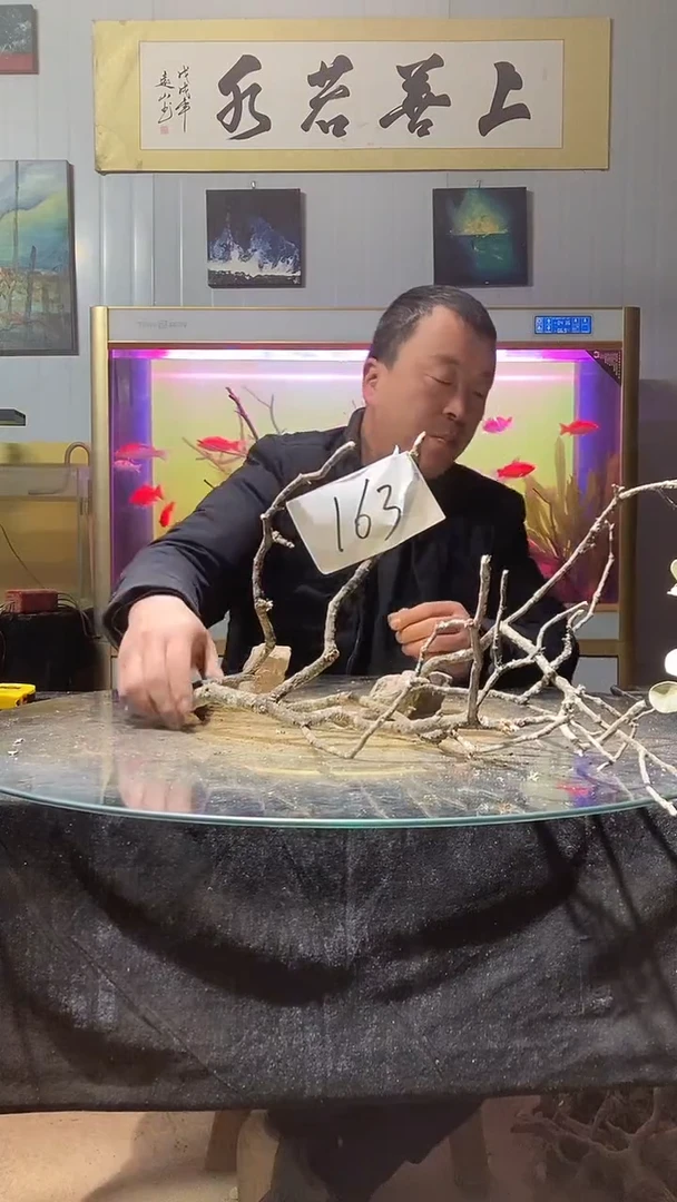 163号天然黄栎木