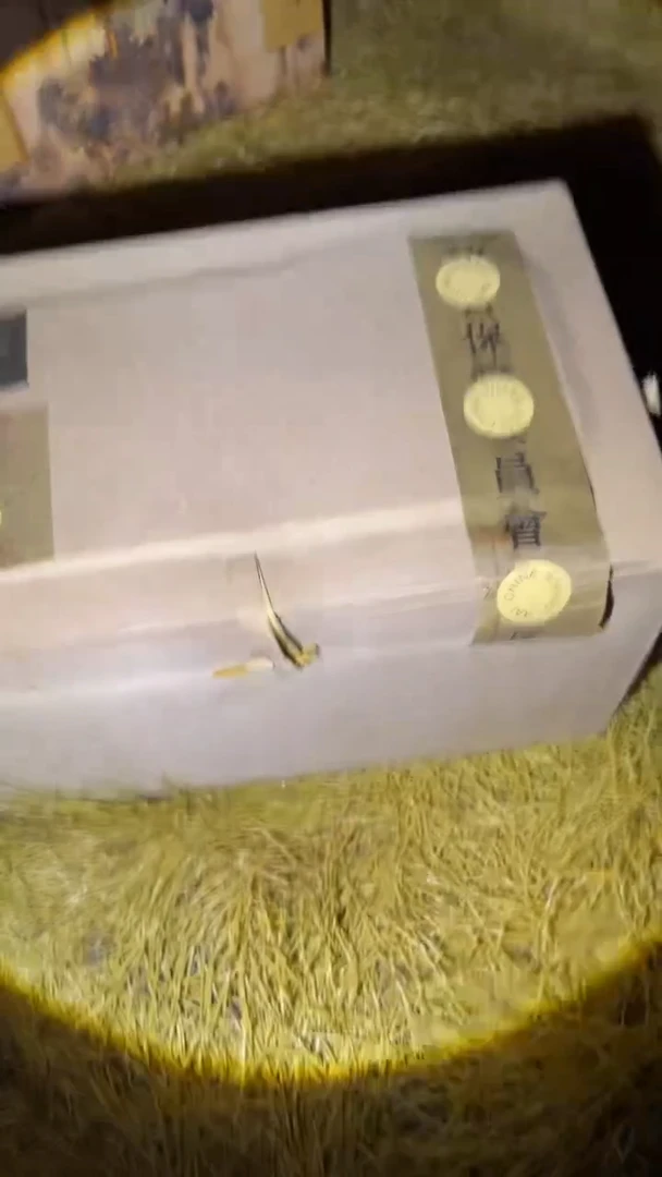 琪琪专属精品链接
