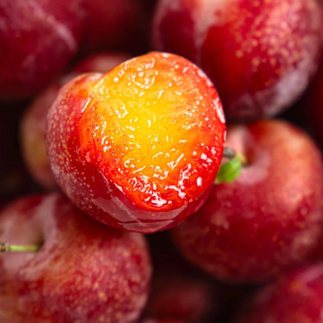 智利空运樱桃李 5斤装 顺丰包邮