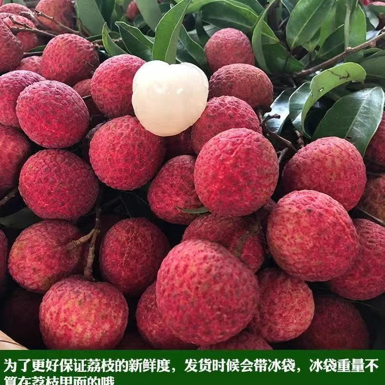 【次日达】正宗福建黑叶荔枝4.5斤当季水果现摘现发 带箱6斤荔枝同