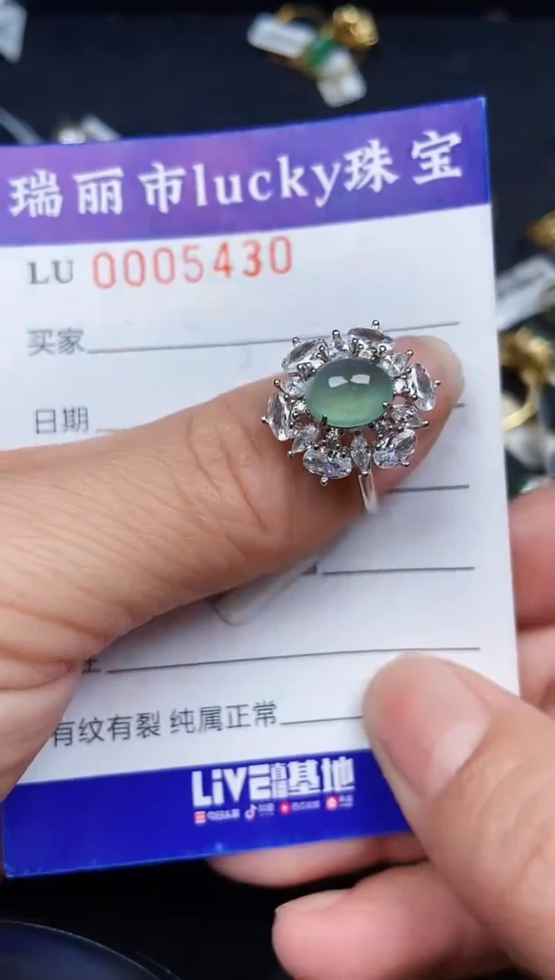 翡翠银S925镶嵌颈饰5430
