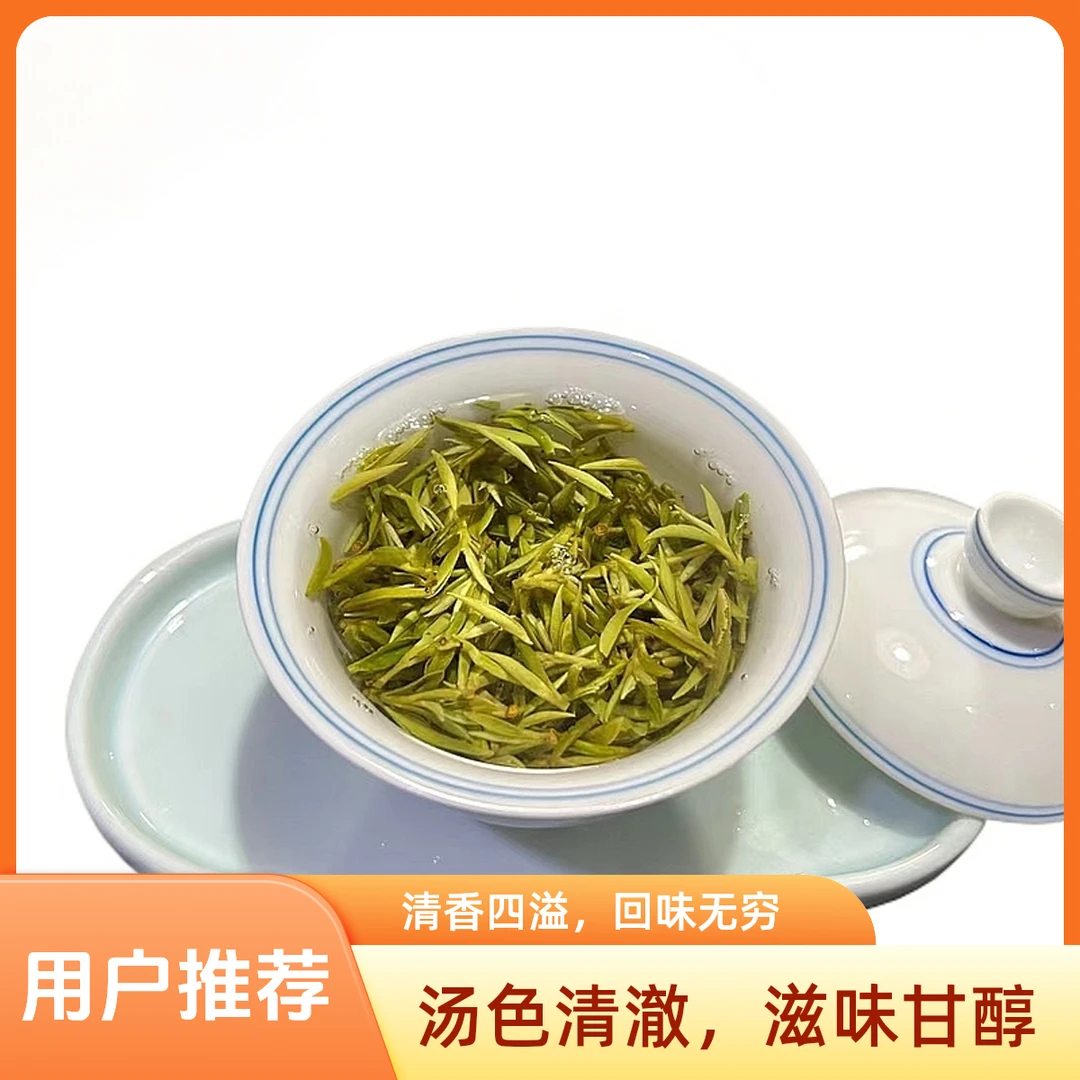 周永平 手工龙井43号高山茶 2025年新茶 浓香豆香鲜爽回甘耐泡