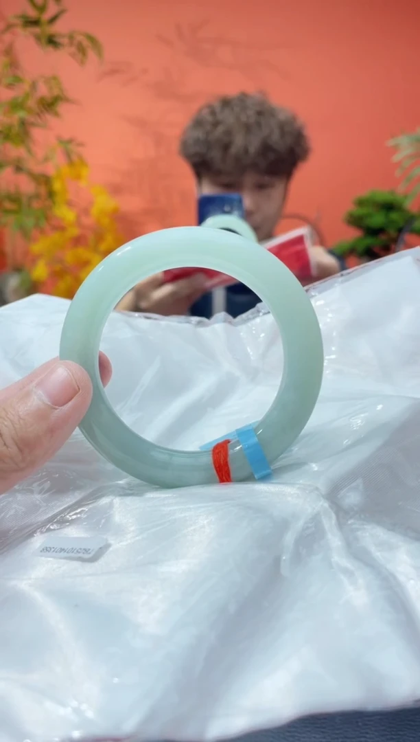 未镶嵌手镯翡翠9