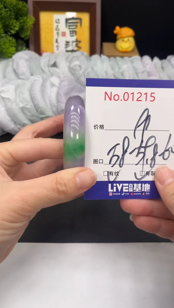 未镶嵌手镯翡翠1215