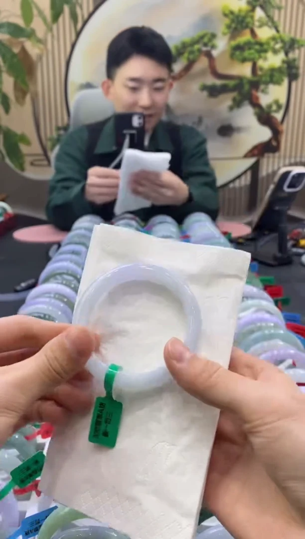 未镶嵌手镯翡翠2529