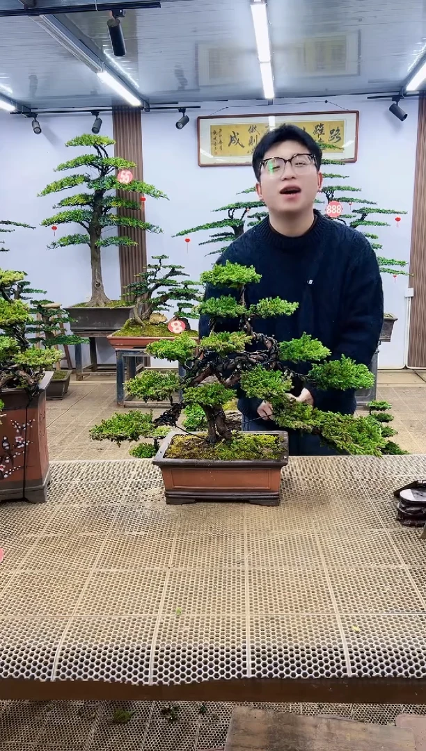 【闪购商品】0000000