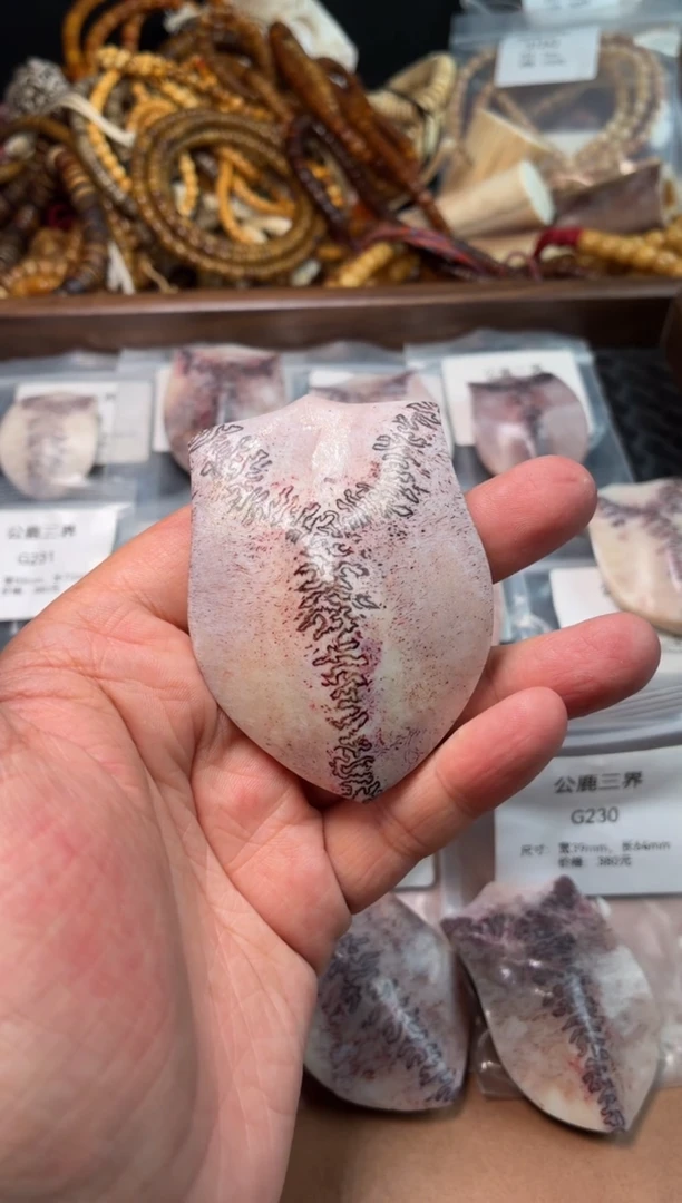 鹿骨其他大****吉公鹿三界G231